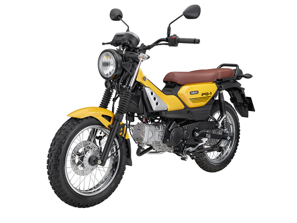 YAMAHA PG-1